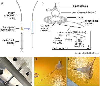 Jugular Vein Catheter Design and Cocaine Self-Administration Using Mice: A Comprehensive Method